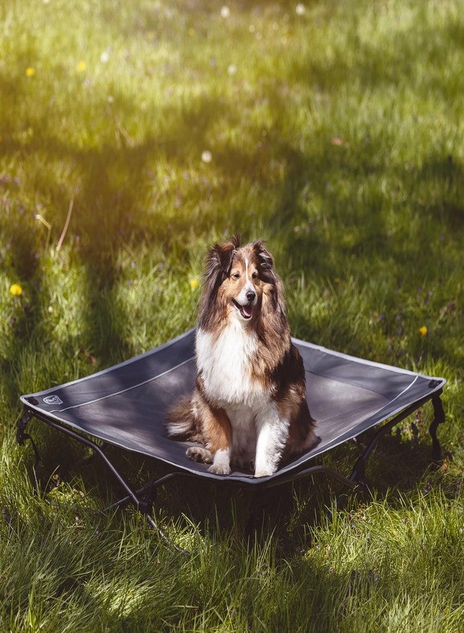 TIMBER RIDGE Outdoor Dog Bed, Cooling Elevated Pet Bed Portable Raised Dog Bed with Breathable Mesh, Dog Bed Foldable Dog Cot for Indoor & Outside, Grey - Image 2